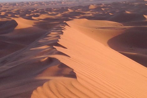 sahara_mhamid_ghazlan_140128417