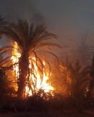 كلميم:حريق يطال أجزاء من واحة أداي