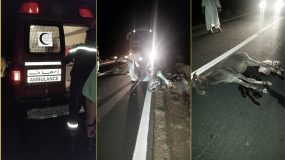 بالصور: “حمار” يسبب في حادثة سير خطيرة قرب مستي