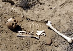 العثور على عظام بشرية يستنفر الدرك الملكي بسيدي افني