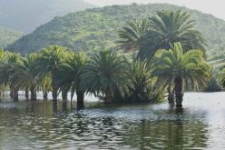 سد أسيف إبودرارن واجهة للأسر الراغبة في الاستمتاع بالطبيعة العذراء