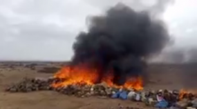 اتلاف مخدرات بطانطان