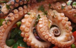 حجز كمية مهمة من الأخطبوط المهرب بسيدي إفني