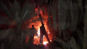 حريق في واحة أسا وجهود للسيطرة عليه