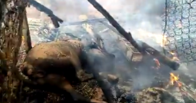 طانطان: فرس يحترق في حوش