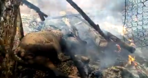 طانطان: فرس يحترق في حوش