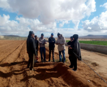 طانطان:الزراعة المستدامة بصيص أمل لتنمية المراعي(تحقيق تلاميذي)