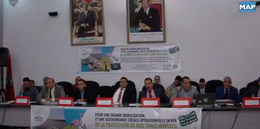 المناطق الرطبة بكلميم