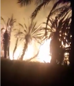 حريق واحة أداي