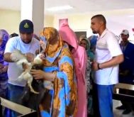 إفناوي مرمضن:ليلة سبعا وعشرين!!