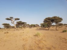 أسا الزاك: توقيع اتفاقية لدعم القطاع الفلاحي