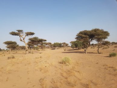 أسا الزاك: توقيع اتفاقية لدعم القطاع الفلاحي