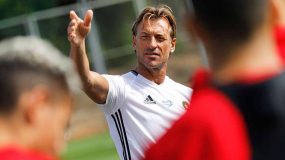 الجامعة تنفي استقالة هيرفي رونار من تدريب الأسود