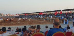 كلميم:مهرجان الجمل يفتتح فعالياته بالتبوريدة