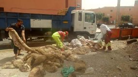 كلميم:كلمة حق عن عمال النظافة