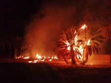 حريق مهول بواحة تغجيجت دون خسائر بشرية