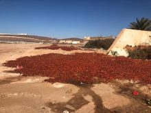 سيدي افني:شاطئ يعاني في صمت