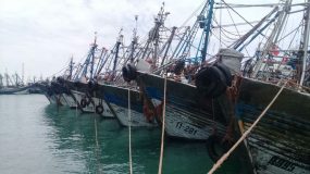 الداخلة :أمرٌ قضائي لإعتقال أحد أباطرة الصيد الساحلي