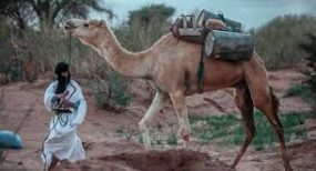 مهرجان دولي للرحل بأسا..