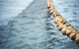 ظهور جثة سابعة لضحايا قارب “المسناوي”