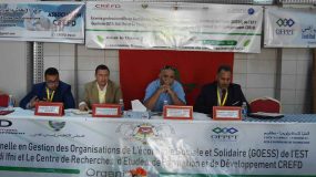 سيدي افني:ندوة علمية تحت عنوان الاقتصاد الاجتماعي و التضامني …رافعة للتنمية المحلية.