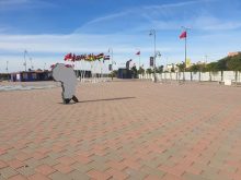 العيون تتأهب لانطلاق كأس إفريقيا للامم لكرة القدم داخل الصالات .