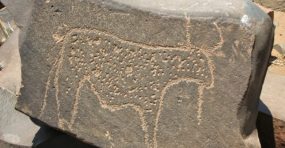 سيدي افني:النقوش الصخرية تراث تاريخي ينتظر تصنيفه ضمن التراث الوطني
