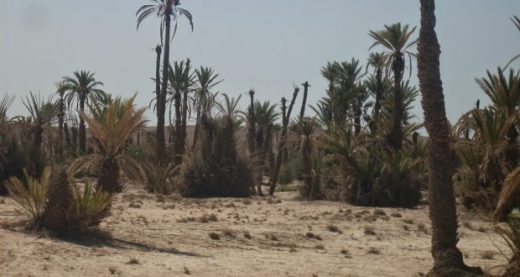 الحكومة : وضع الأمن المائي “مقلق” بسبب قلة الأمطار