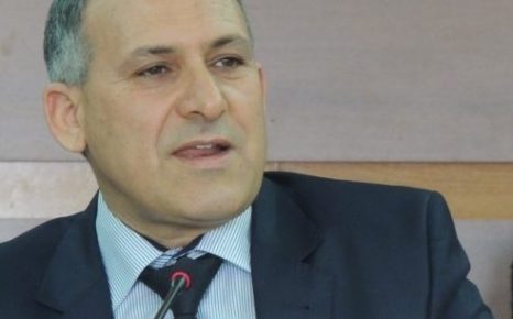 القصر العاملي بإفني…بناءات جديدة