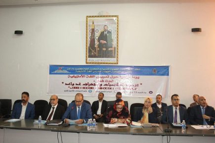 فاعلون تربويون وجمعويون يتدارسون بكلميم تجويد تدريس اللغة الأمازيغية