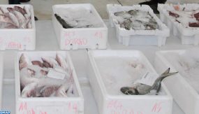 Le ministre de l'Agriculture, de la Pêche maritime, du Développement rural et des Eaux et forêts, Aziz Akhannouch inaugure le nouveau marché de gros au poisson de Tétouan. 31012020 - Tétouan