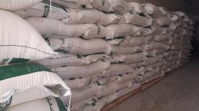 رئيس جماعة عوينة لهنا يوزع 300 كيس من الدقيق ومواد غذائية