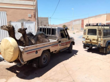 عضوة بجهة كلميم تتبرع على الساكنة بجمليين