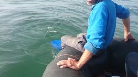 من يلتفت الى “لكواشطية” وصيادي القصبة ؟