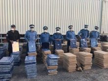 حجز أكثر من ستة أطنان من الحشيش في عز شهر رمضان