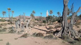 إعتصام أعضاء جمعيات أغبالو بمقر المديرية الاقليمية لوزارة الفلاحة بكلميم.