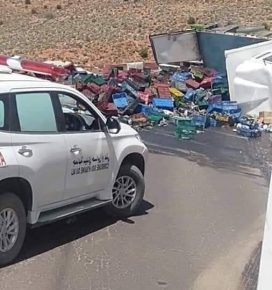 اقليم سيدي افني.. انقلاب شاحنة محملة بالاسماك
