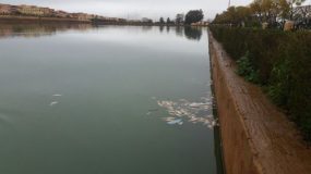 كلميم :الفنان فريد النجمي يفارق الحياة غرقابأحد الضيعات