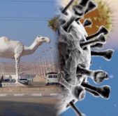 طانطان :اصابات جديدة بفيروس كورونا من بينها أطر طبية وتمريضية و حالات مخالطة