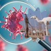 الطانطان في الواجهة..كورونا تصيب 17 حالة جديدة