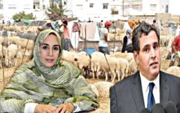 تكرور نائبة البرلمانية توجه سؤالا كتابيا لاخنوش