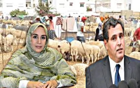 تكرور نائبة البرلمانية توجه سؤالا كتابيا لاخنوش