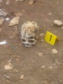 العثور على جمجمة طفل في منطقة الغزوة بأكادير