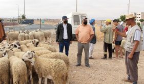 رئيس بلدية كلميم يتفقد سوق بيع الاضاحي