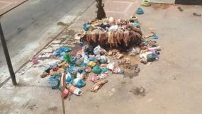 تراكم الازبال وروائح كريهة بشوارع كلميم يوم عيد الاضحى
