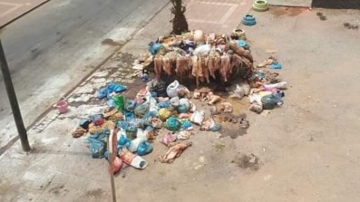 تراكم الازبال وروائح كريهة بشوارع كلميم يوم عيد الاضحى