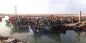 افني :”التحامل على البحارة” يغضب نقابة ارباب قوارب الصيد التقليدي (بيان)