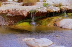 الطنطان:رحلة جماعية،انتهت بفاجعة غرق طفل بواحات وين مذكور