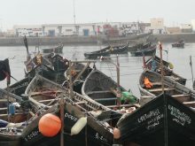 مجموعة من بحارة سيدي افني يوقعون عرائض ضد إحدى النقابات المهنية