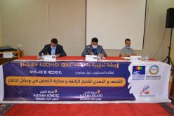 كلميم : سعيد اهمان يؤطر دورة تكوينية بجهة كلميم وادنون ” الكشف والتصدي للاخبار الزائفة ومحاربة التضليل في وسائل الإعلام “.